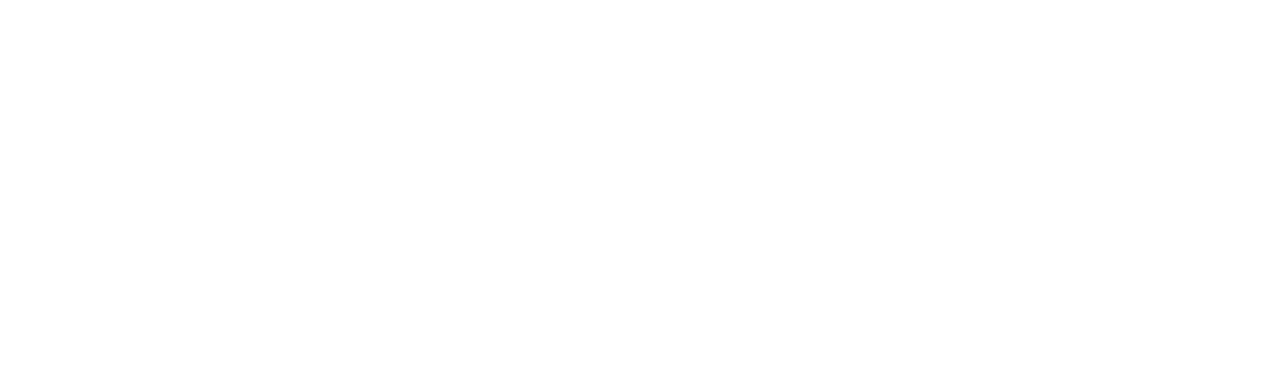 Focus Nordic
